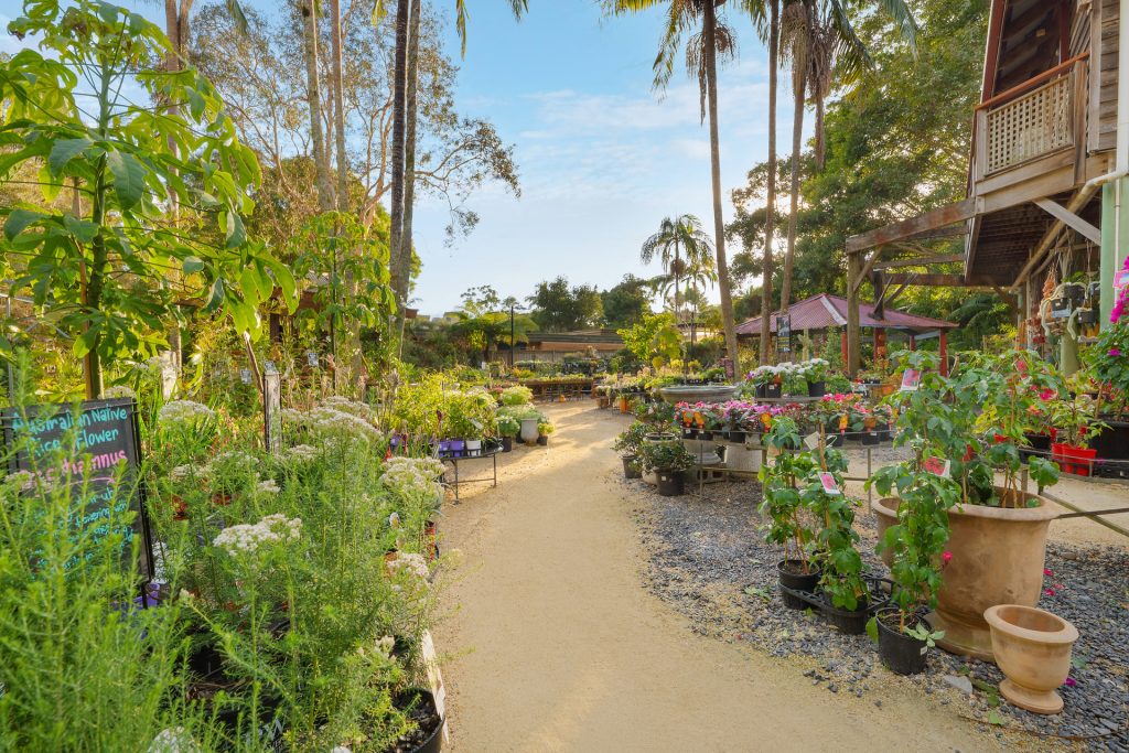 For Sale - 140 Bangalow Road - New Property in Byron Bay - Real Estate by Nick Dunn