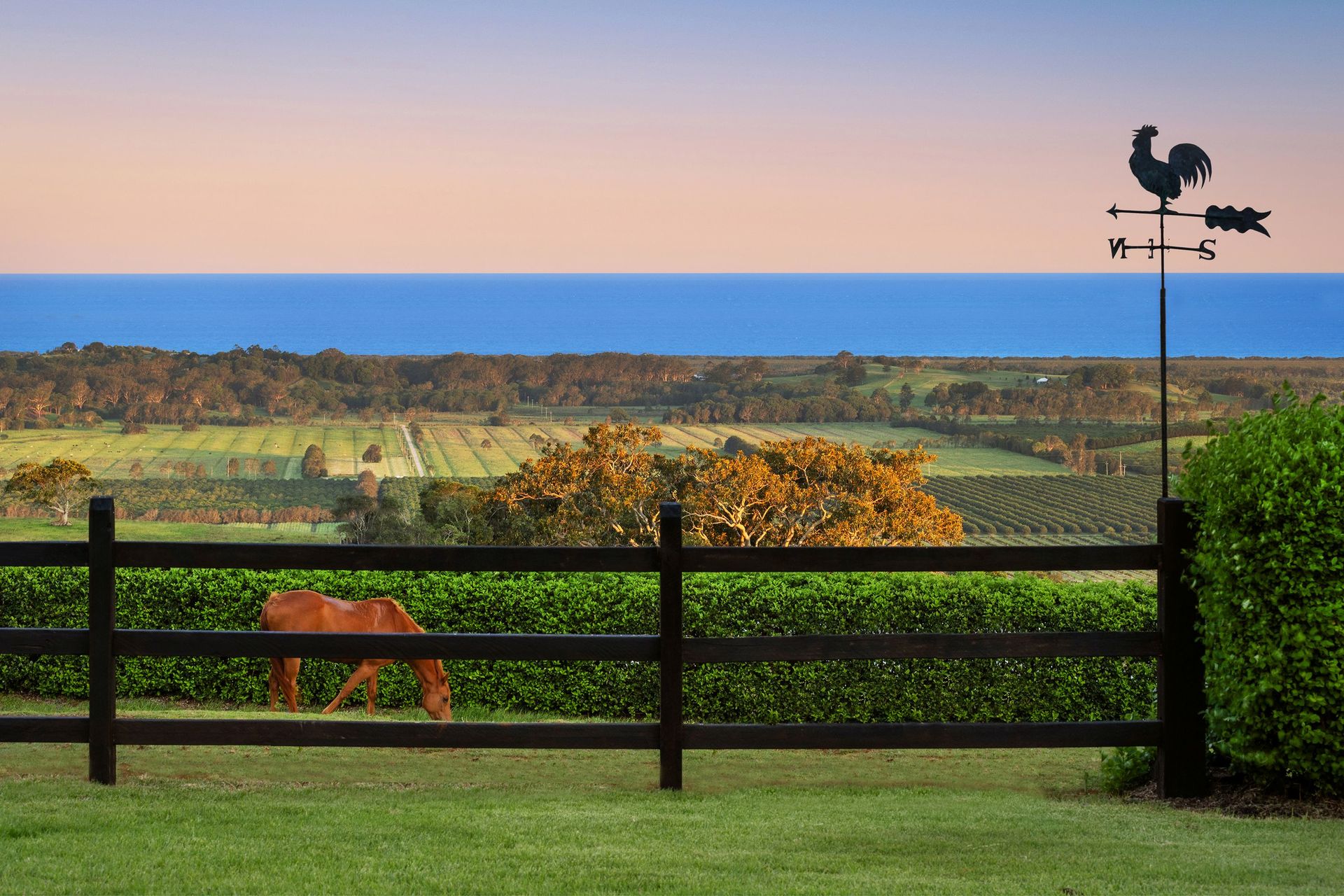 For Sale - 72 Old Byron Bay Road - New Property in Newrybar - Real Estate by Nick Dunn