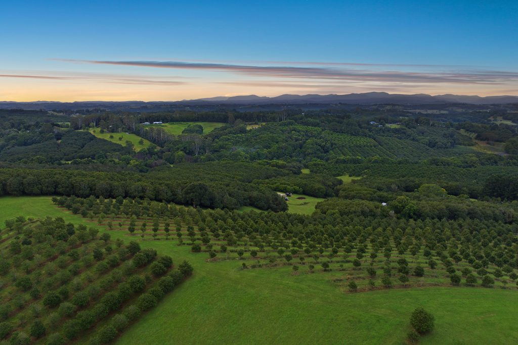 Sold - 1192 Eltham Road - New Property in Alstonvale - Real Estate by Bill Johnston