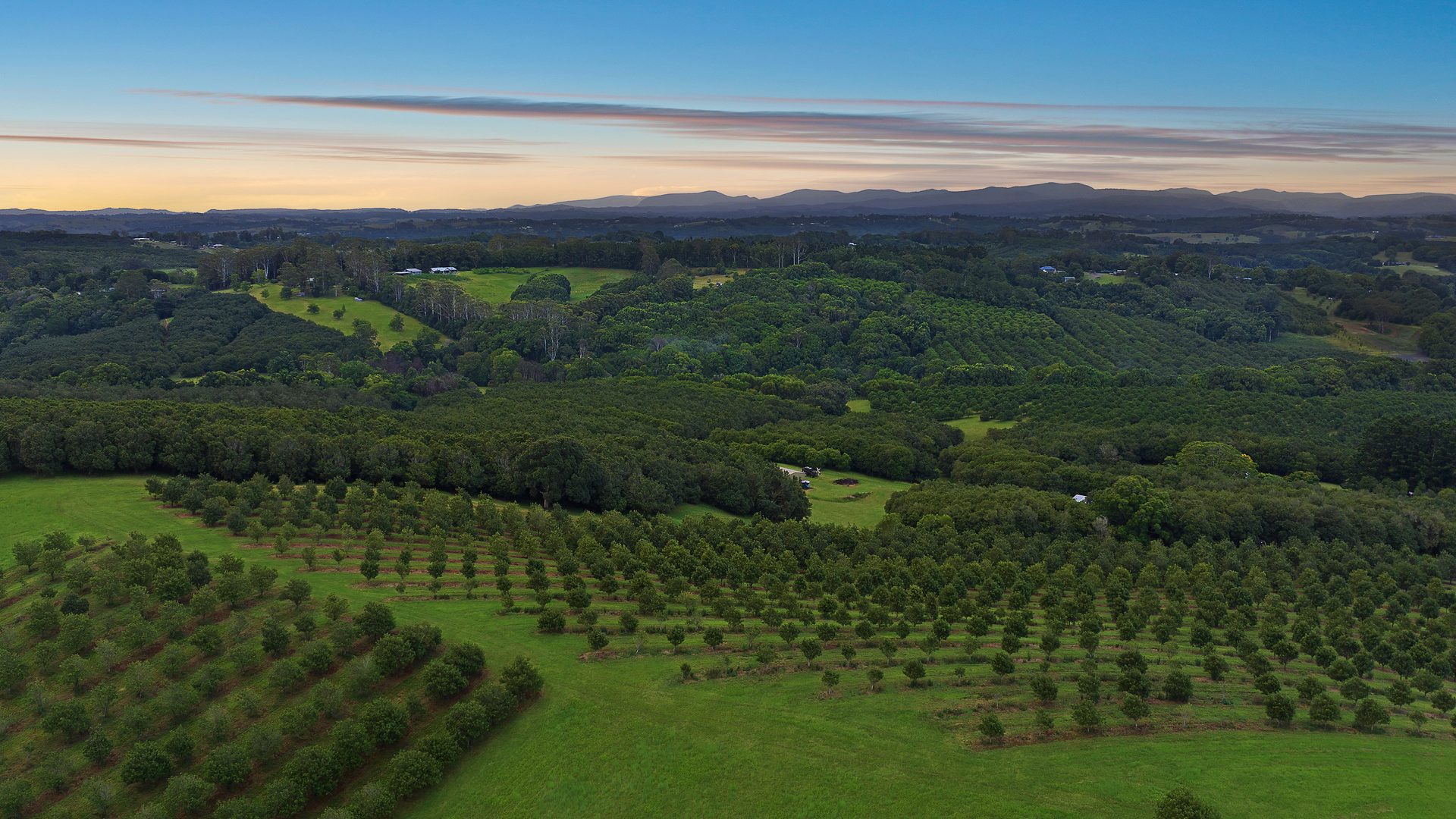 Sold - 1192 Eltham Road - New Property in Alstonvale - Real Estate by Bill Johnston