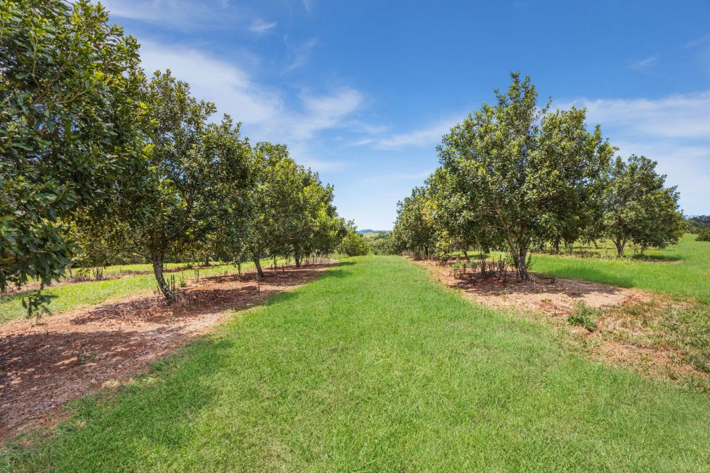 Sold - 1192 Eltham Road - New Property in Alstonvale - Real Estate by Bill Johnston