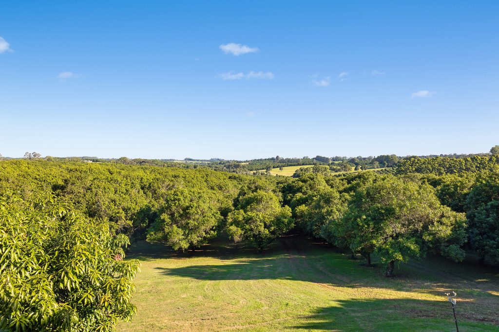 For Sale - 103 Lindendale Road - New Property in Lindendale - Real Estate by Bill Johnston