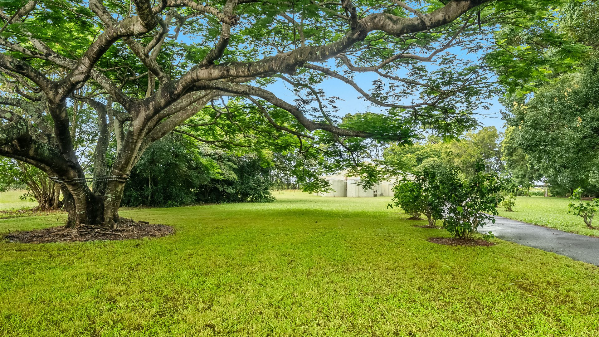 Sold - 698 Uralba Road - New Property in Lynwood - Real Estate by Nick Bordin