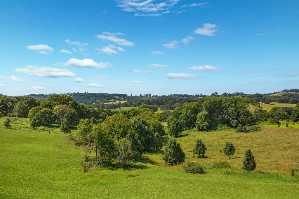 For Sale - 863 Eltham Road - New Property in Booyong - Real Estate by Bill Johnston