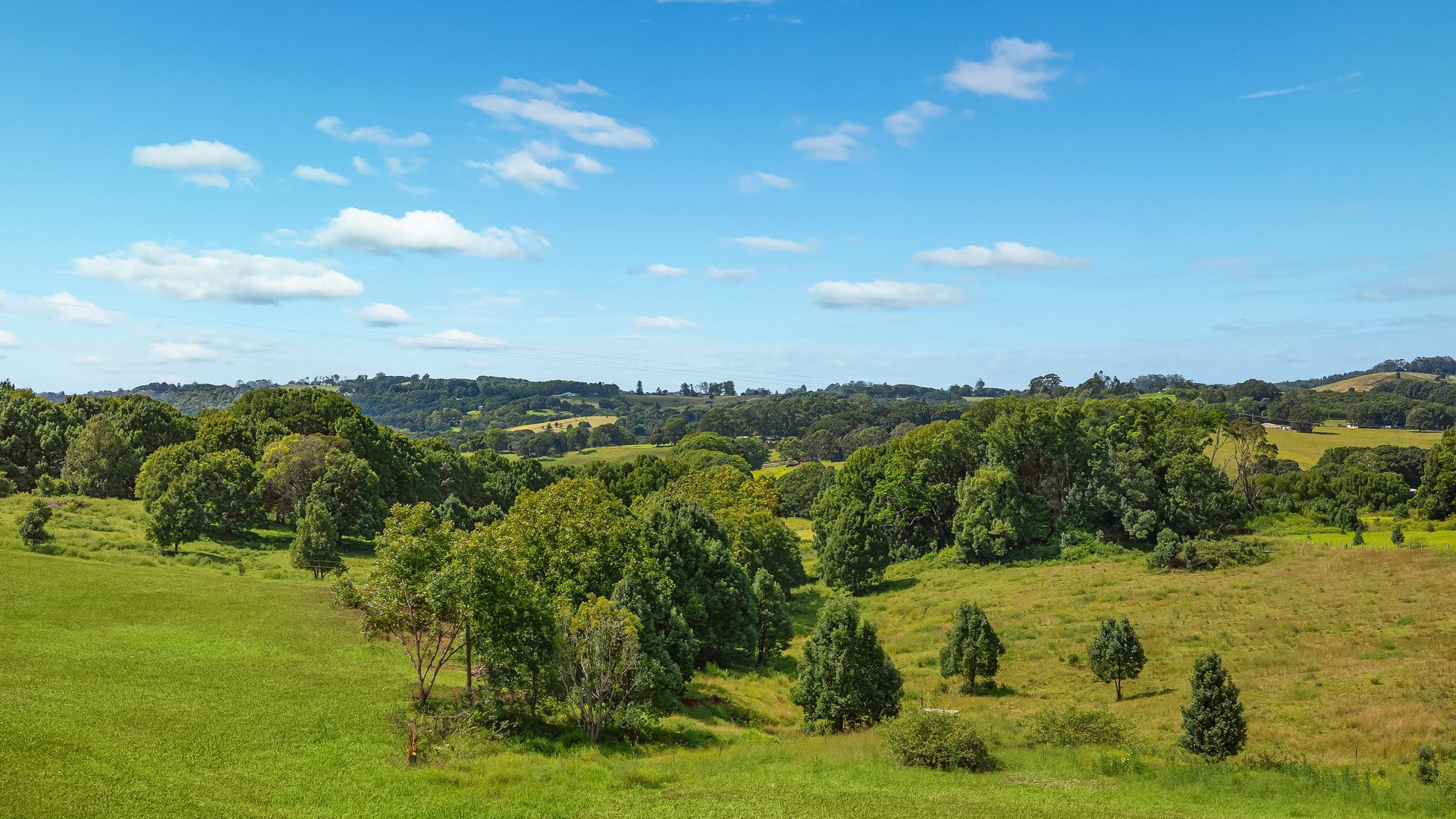 For Sale - 863 Eltham Road - New Property in Booyong - Real Estate by Bill Johnston