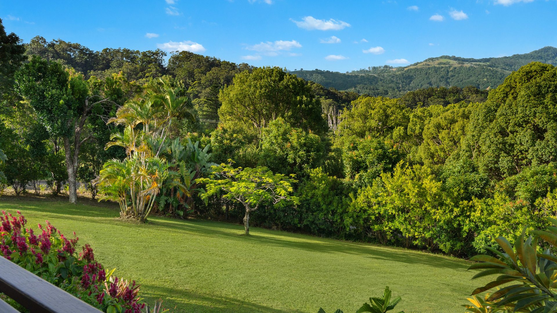 For Sale - 121 Frasers Road - New Property in Mullumbimby Creek - Real Estate by Tezu Harrison
