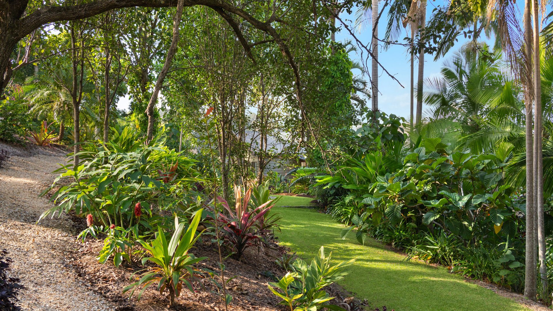 For Sale - 121 Frasers Road - New Property in Mullumbimby Creek - Real Estate by Tezu Harrison
