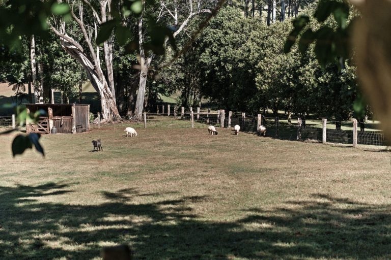 For Sale - 292 Sneaths Road - New Property in Alstonvale - Real Estate by Bill Johnston