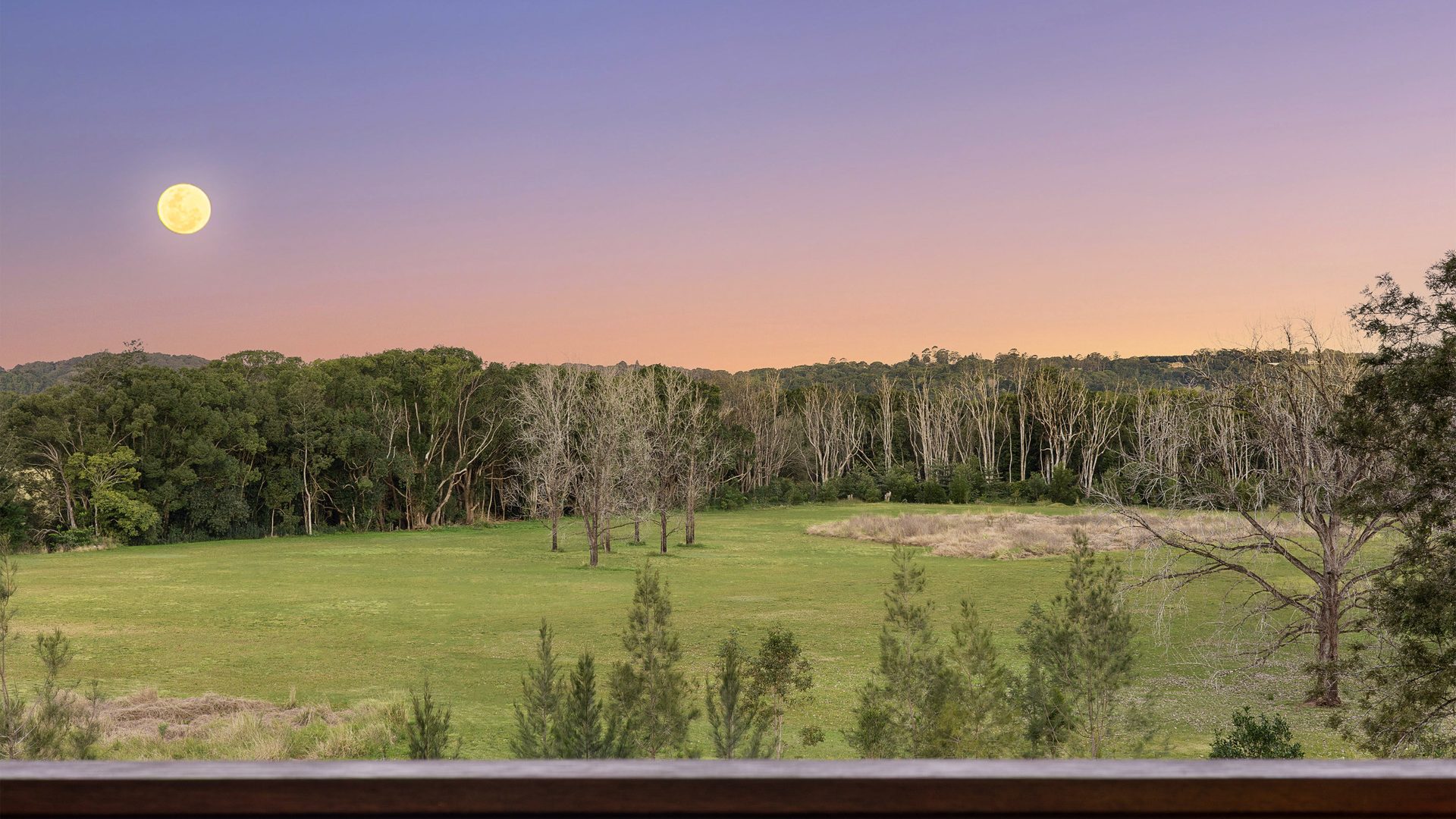 For Sale - 16 Rainforest Drive - New Property in Eltham - Real Estate by Bill Johnston
