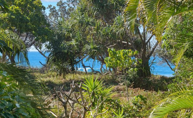 For Sale - 79 Alcorn Street - New Property in Suffolk Park - Real Estate by Nick Dunn