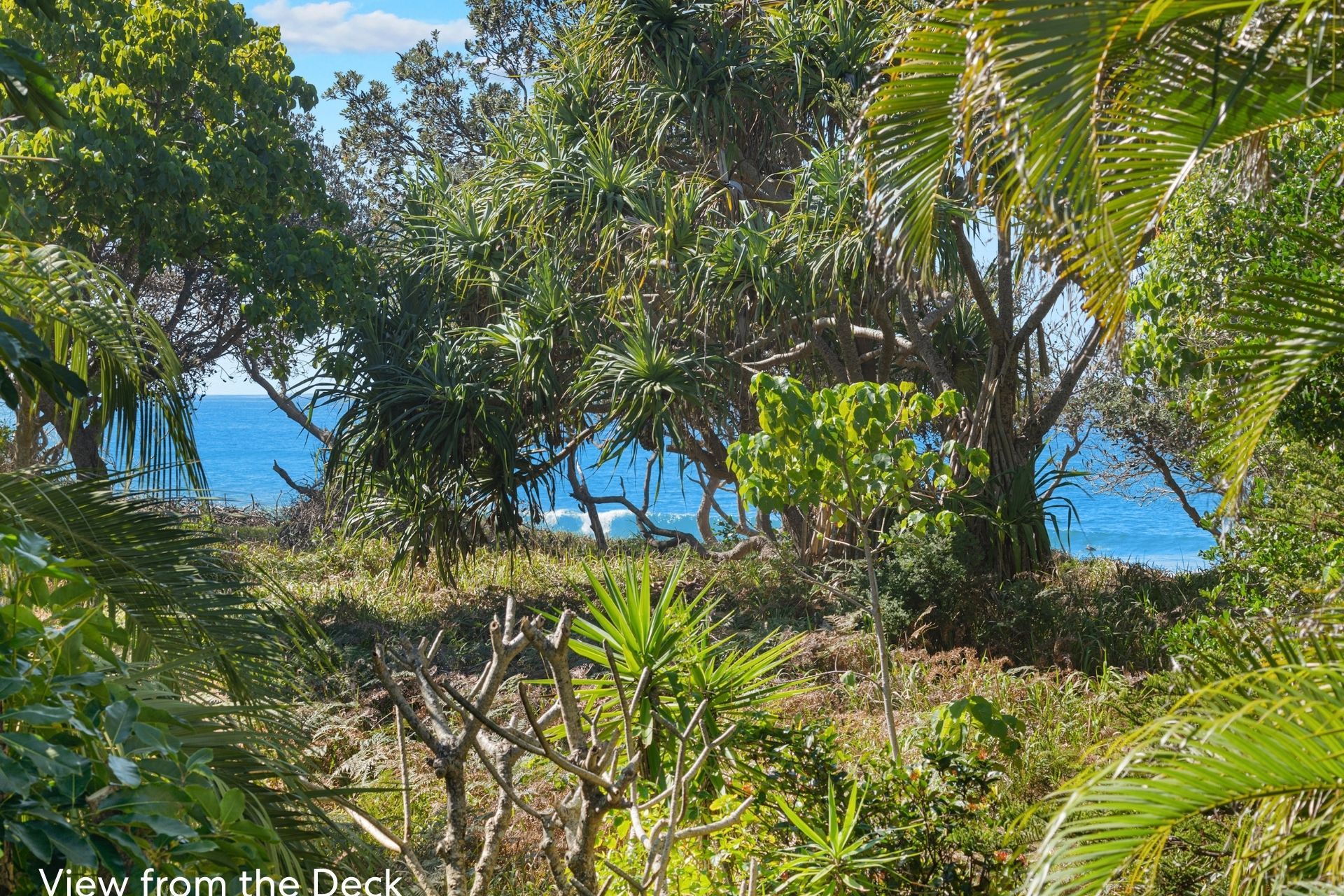 For Sale - 79 Alcorn Street - New Property in Suffolk Park - Real Estate by Nick Dunn