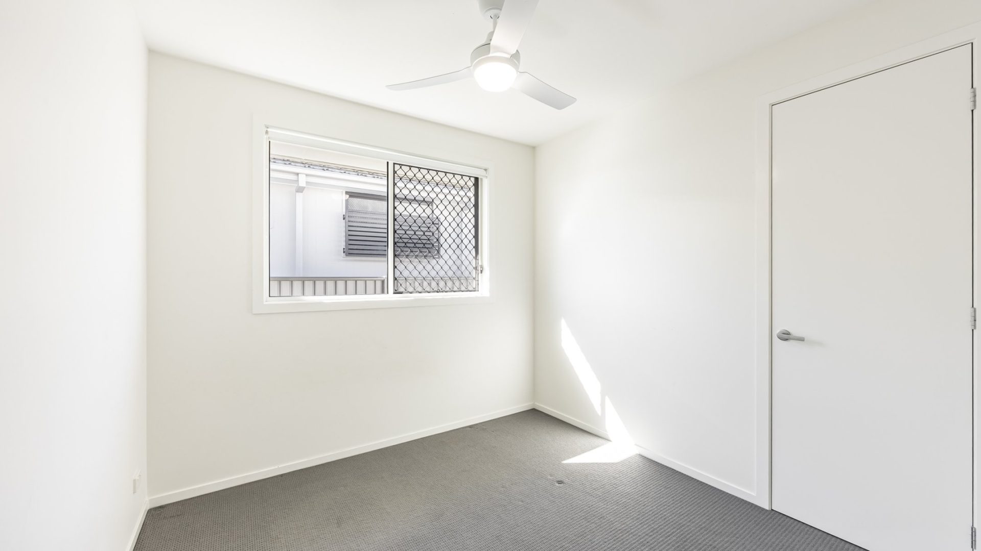 Leased - 19 Pastures Street - New Property in Cumbalum - Real Estate by Zane Grier