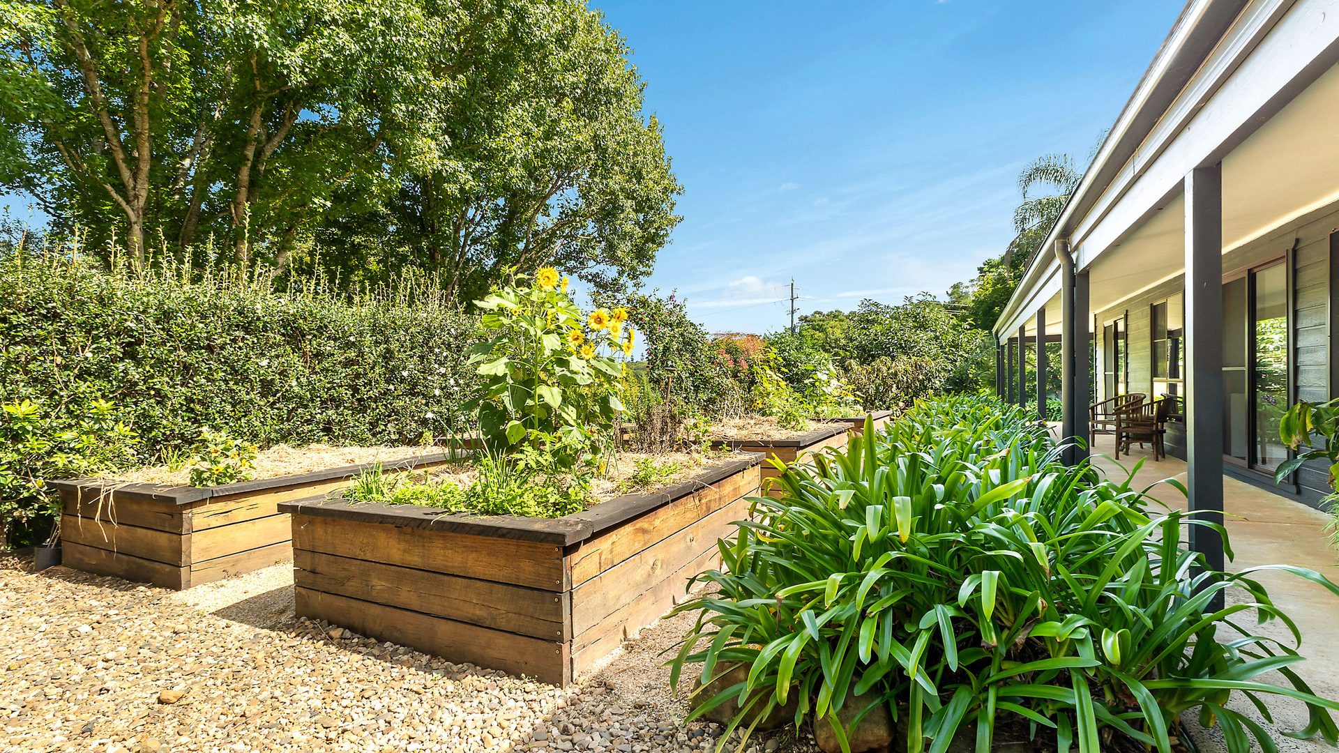 For Sale - 74 Converys Lane - New Property in Wollongbar - Real Estate by Bill Johnston