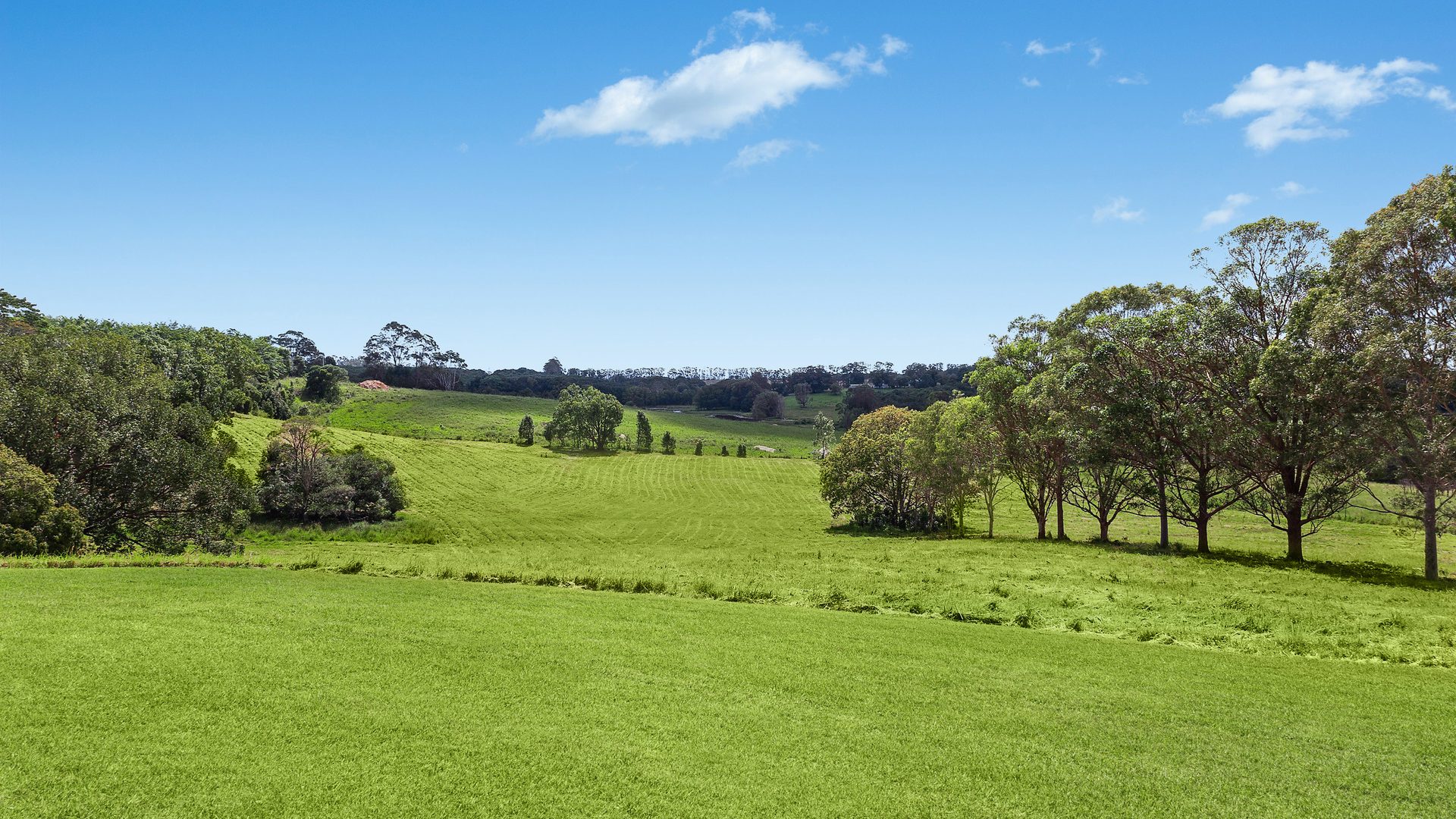 For Sale - 74 Converys Lane - New Property in Wollongbar - Real Estate by Bill Johnston