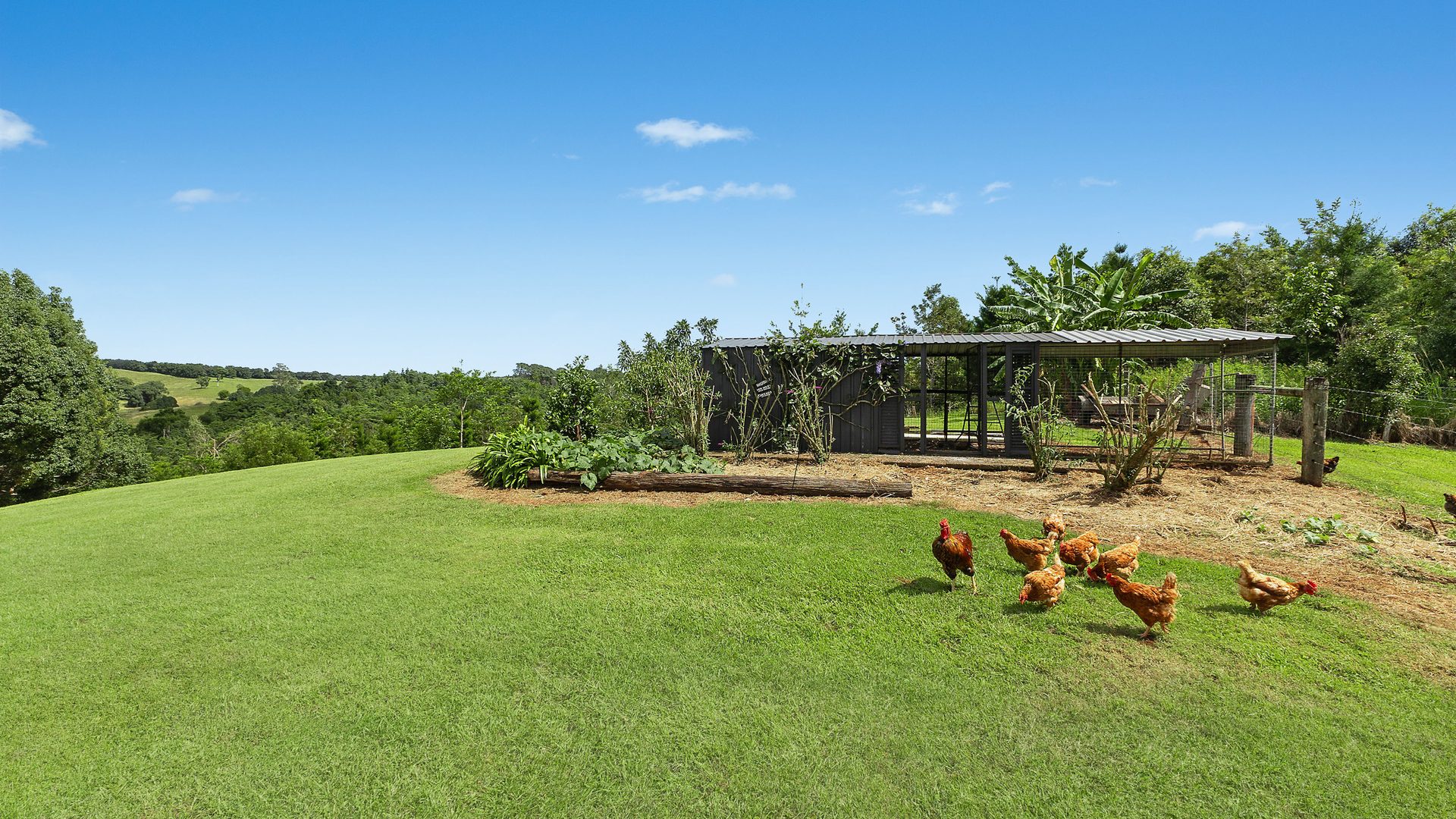 For Sale - 74 Converys Lane - New Property in Wollongbar - Real Estate by Bill Johnston
