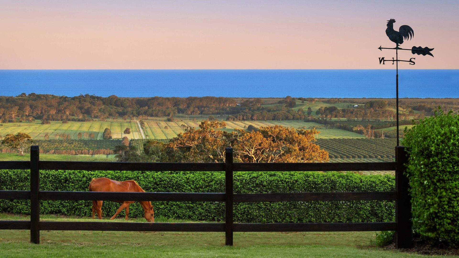 For Sale - 72 Old Byron Bay Road - New Property in Newrybar - Real Estate by Nick Dunn