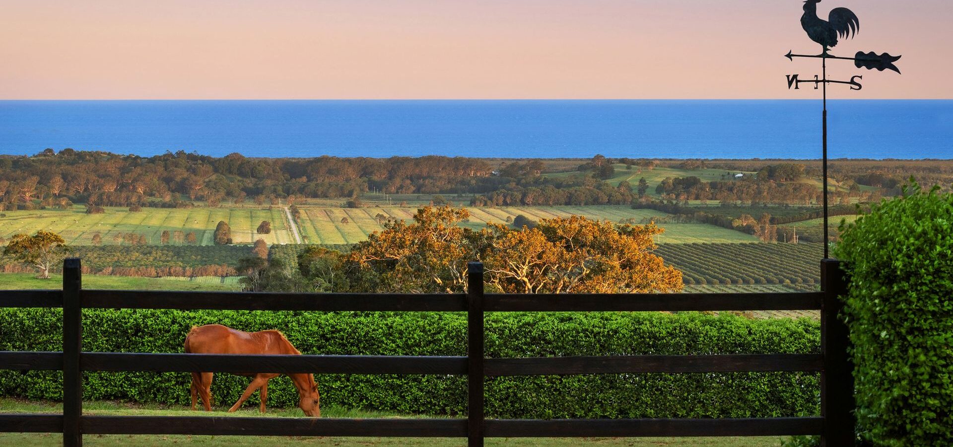 For Sale - 72 Old Byron Bay Road - New Property in Newrybar - Real Estate by Nick Dunn