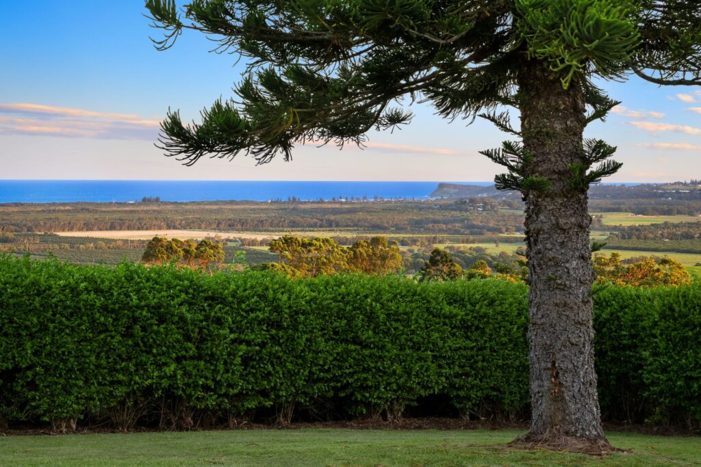 For Sale - 72 Old Byron Bay Road - New Property in Newrybar - Real Estate by Nick Dunn