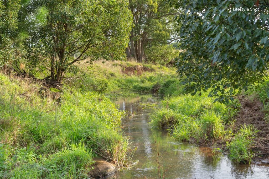 Auction - 44 Parrot Tree Place - New Property in Bangalow - Real Estate by Ryan McFarland