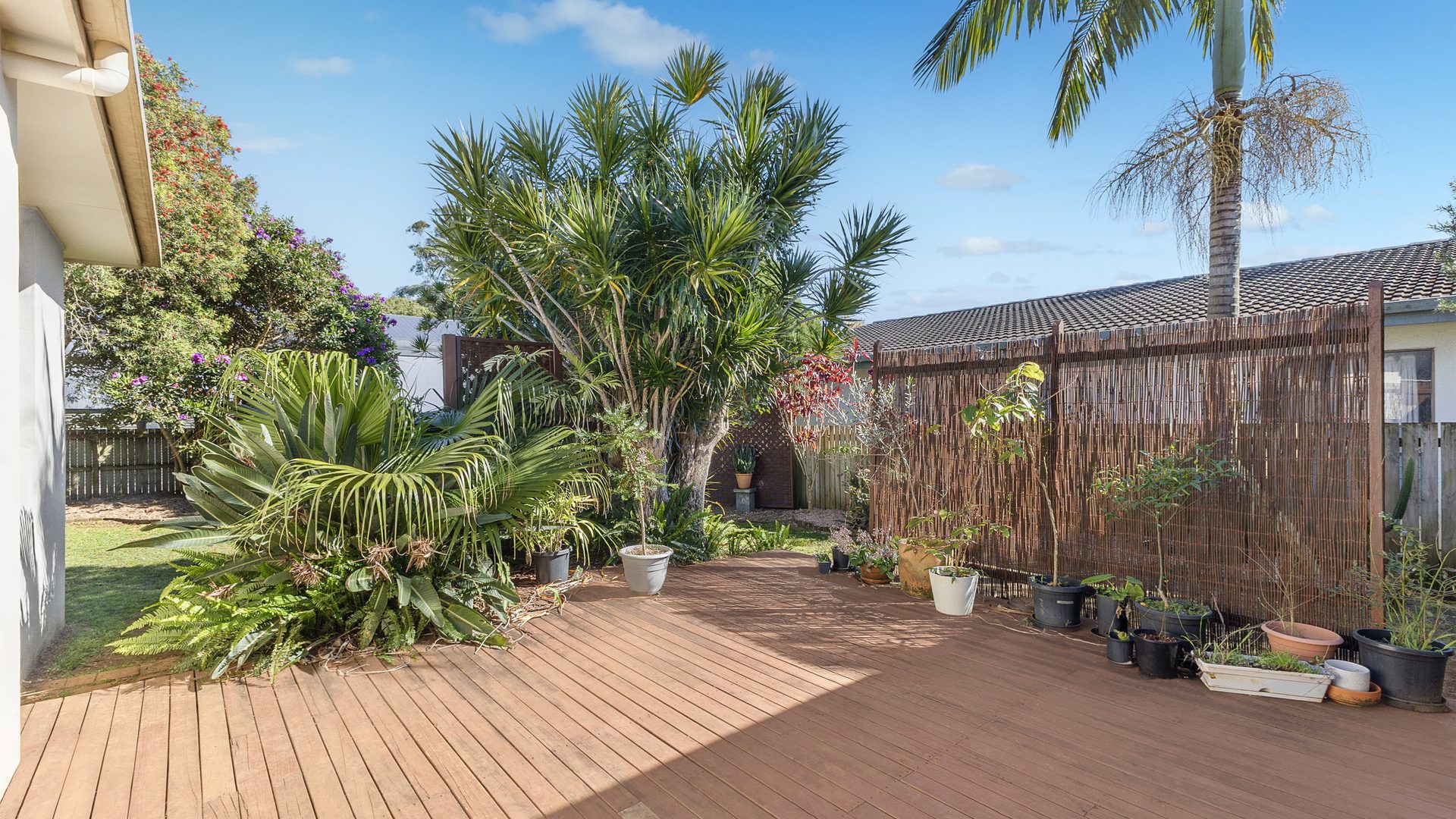 For Sale - 3 Merinda Place - New Property in East Ballina - Real Estate by Nathan Mills & Ben Gatwood