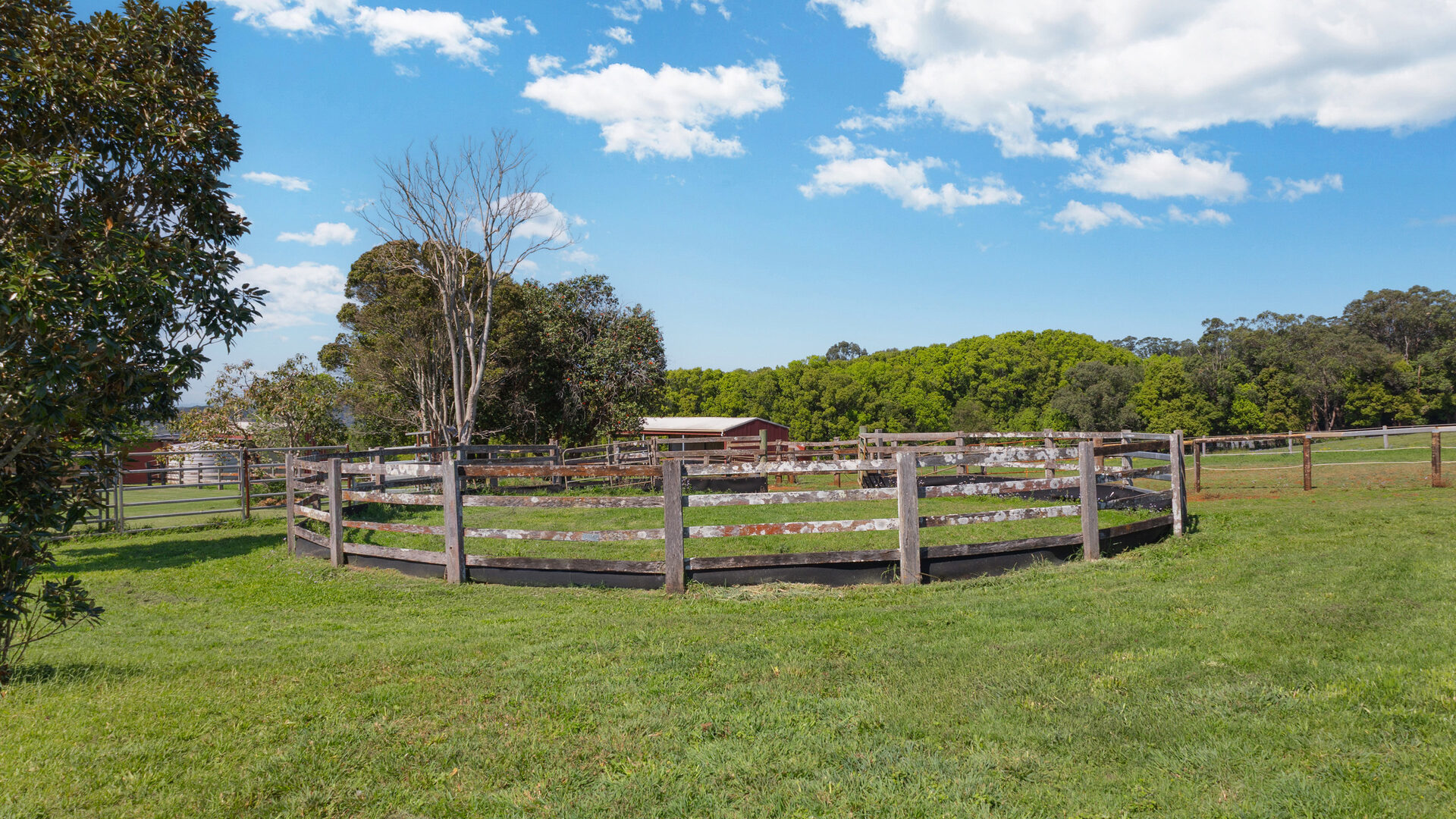 For Sale - 489 Wardell Road - New Property in Dalwood - Real Estate by Bill Johnston