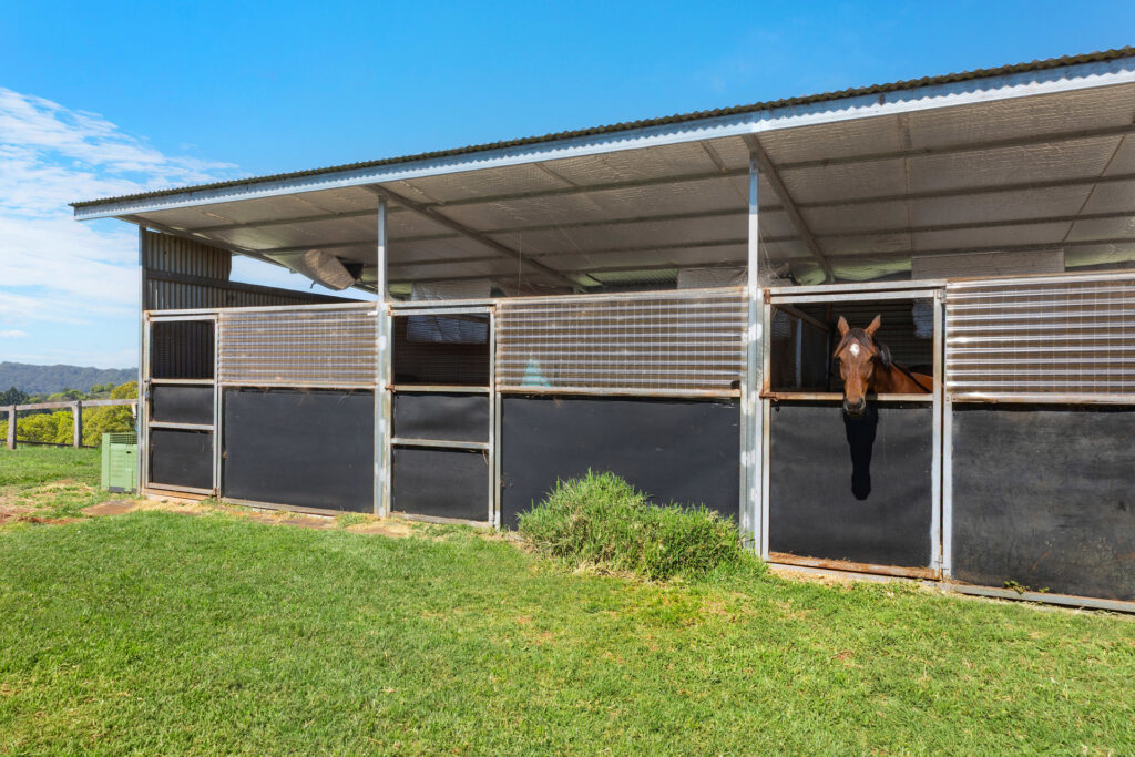 For Sale - 489 Wardell Road - New Property in Dalwood - Real Estate by Bill Johnston