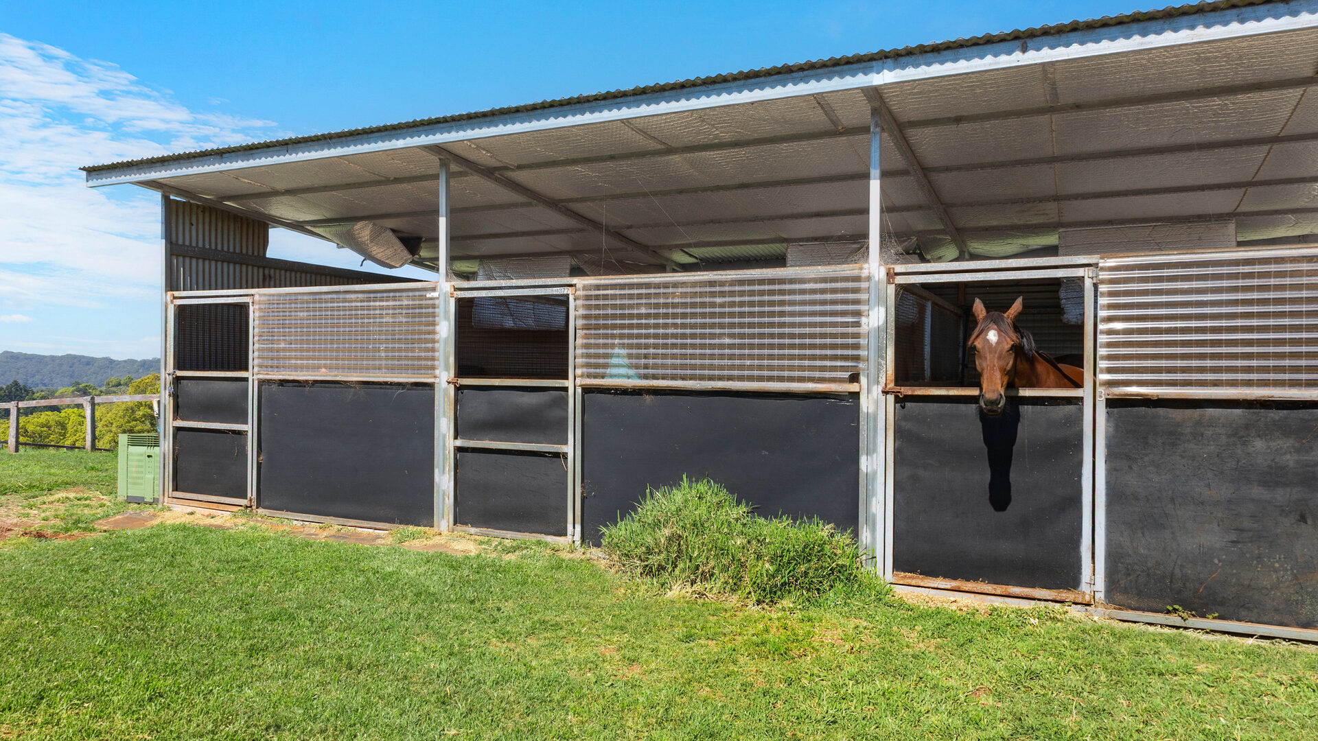 For Sale - 489 Wardell Road - New Property in Dalwood - Real Estate by Bill Johnston