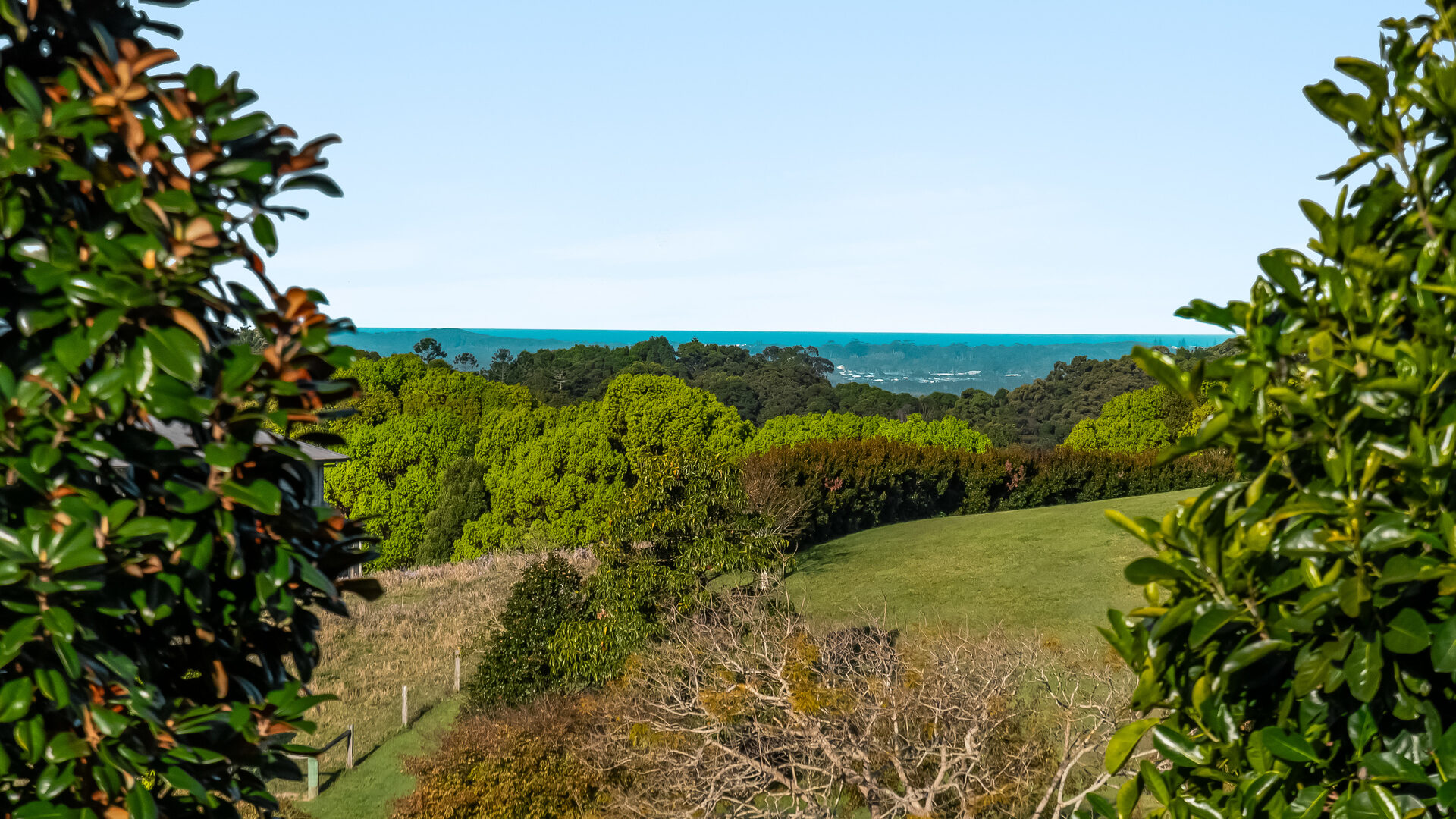 For Sale - 78 Teakwood Drive - New Property in Alstonville - Real Estate by Nick Bordin