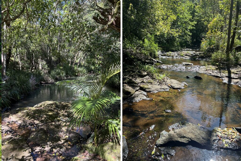 For Sale - 9/231 Fowlers Lane - New Property in Bangalow - Real Estate by Nick Dunn