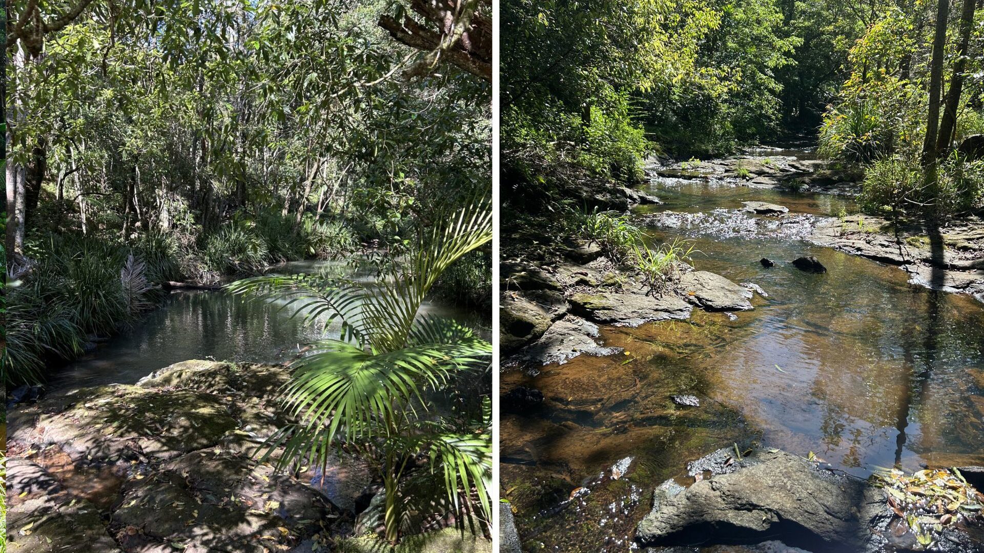 For Sale - 9/231 Fowlers Lane - New Property in Bangalow - Real Estate by Nick Dunn