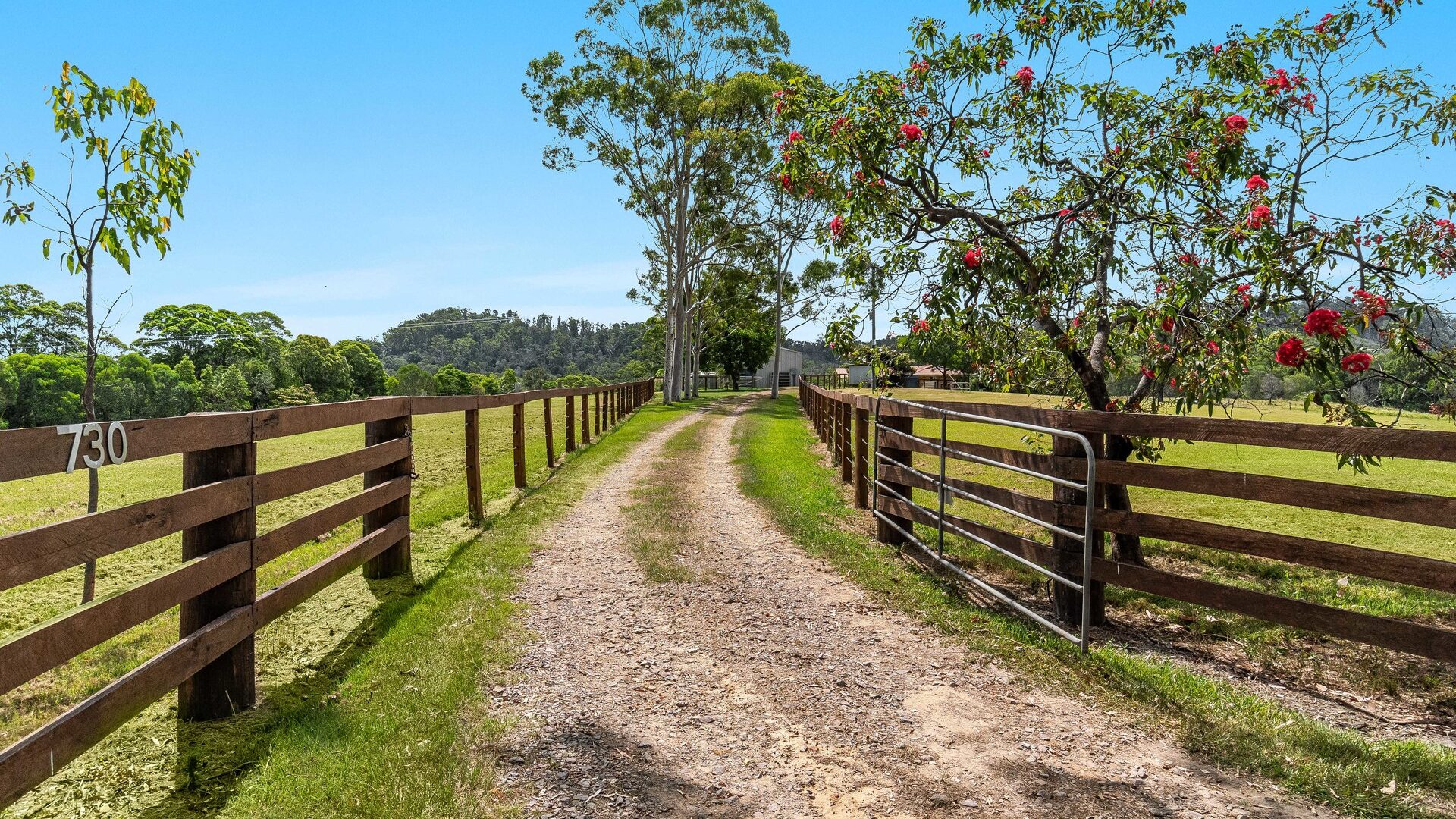 For Sale - 730 Reardons Lane - New Property in New Italy - Real Estate by Adam & Maxine Gaiter