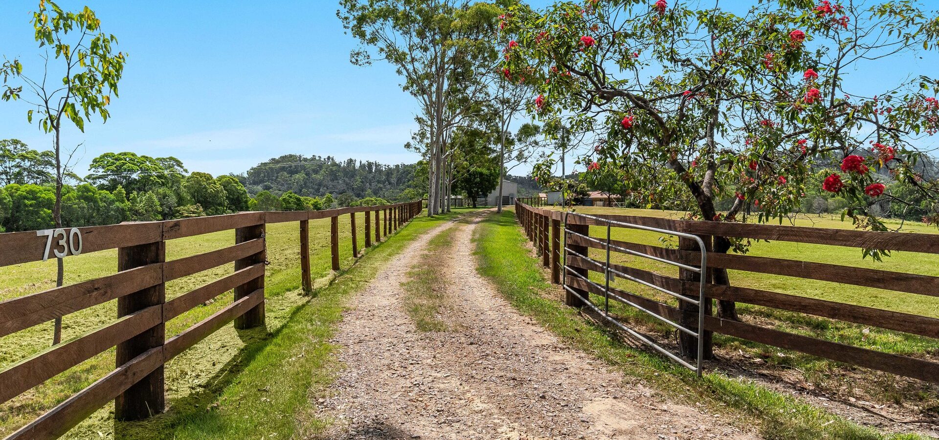 For Sale - 730 Reardons Lane - New Property in New Italy - Real Estate by Adam & Maxine Gaiter