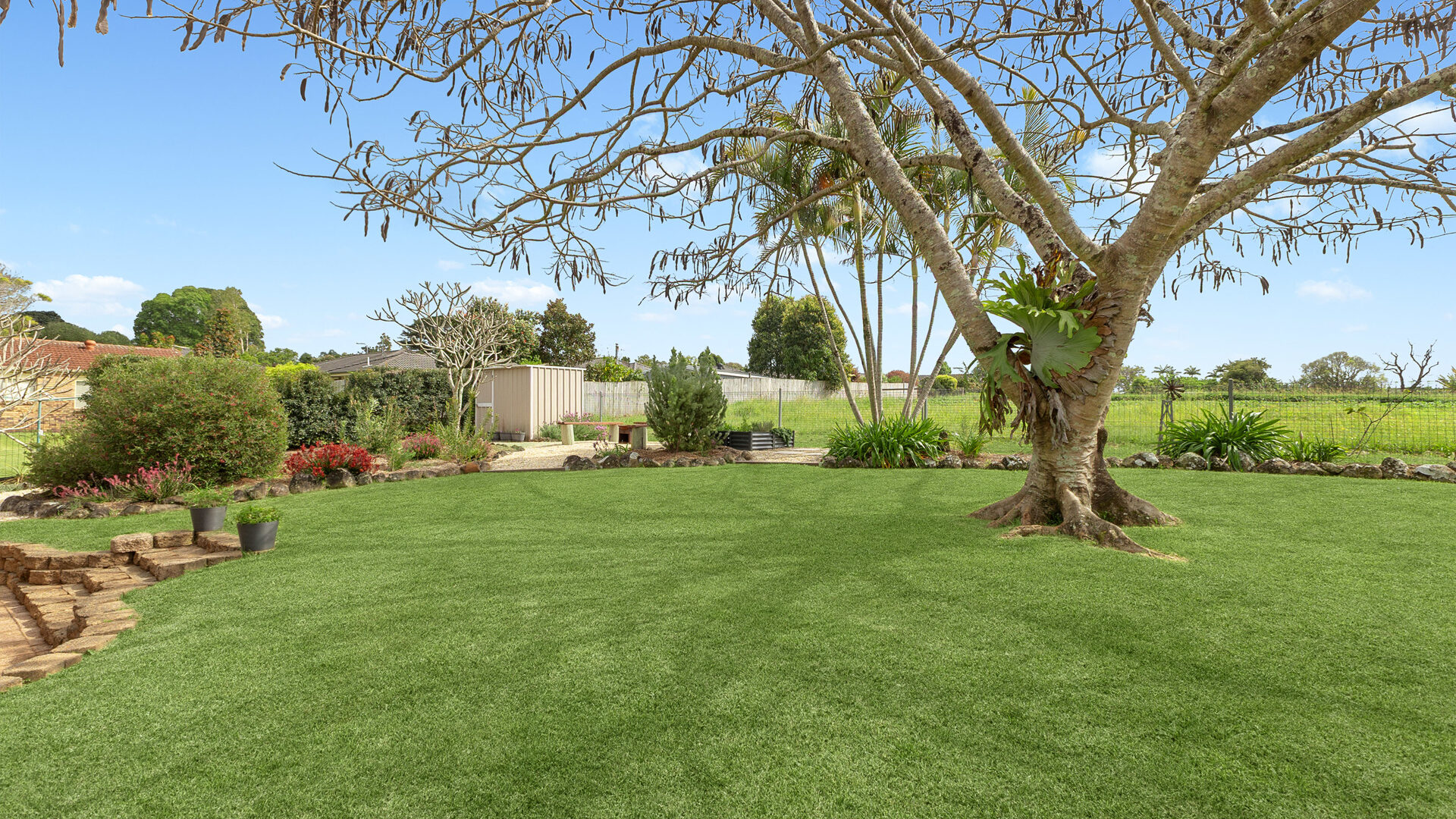 For Sale - 49 Rubiton Street - New Property in Wollongbar - Real Estate by Bill Johnston