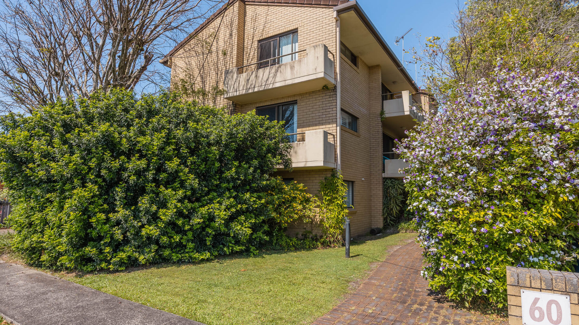 For Rent - 60 Swift Street - New Property in Ballina - Real Estate by Zane Grier