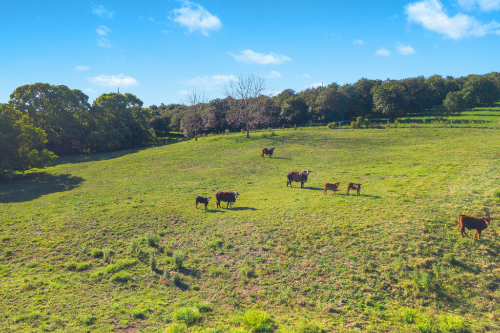 For Sale - 45 Connor Road - New Property in Tregeagle - Real Estate by Adam & Maxine Gaiter