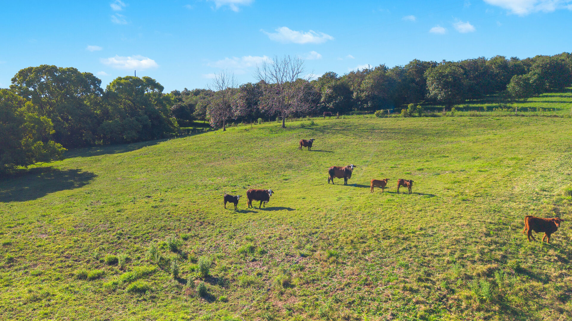 For Sale - 45 Connor Road - New Property in Tregeagle - Real Estate by Adam & Maxine Gaiter