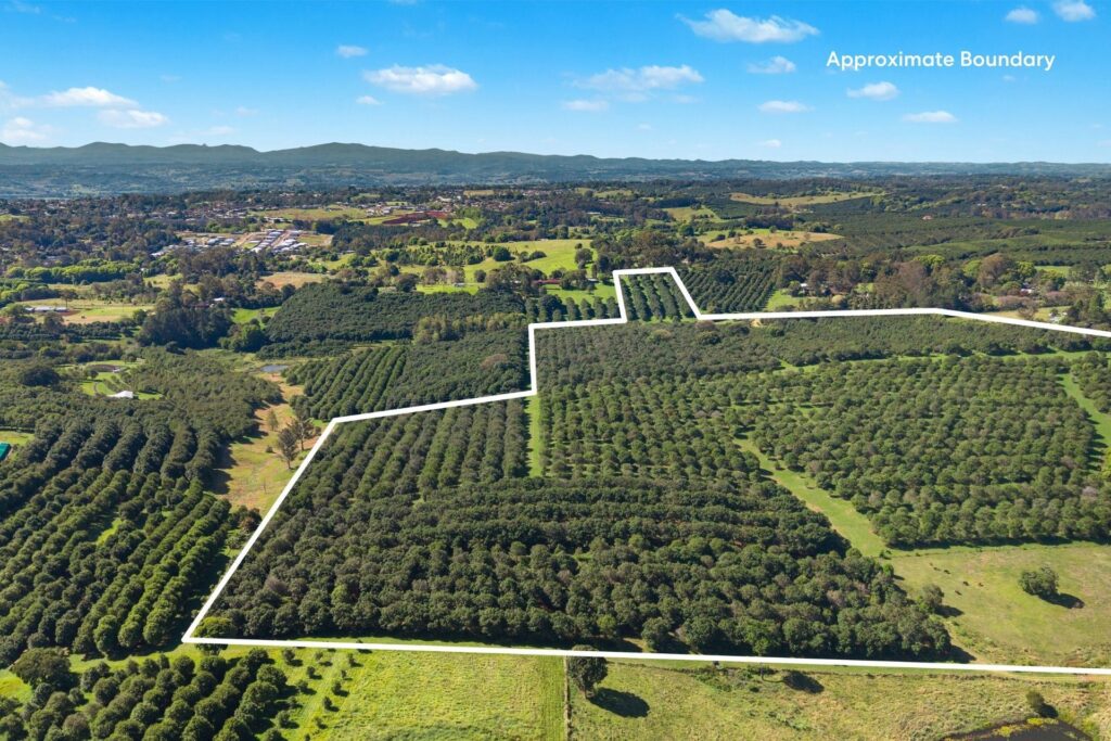 For Sale - 45 Connor Road - New Property in Tregeagle - Real Estate by Adam & Maxine Gaiter