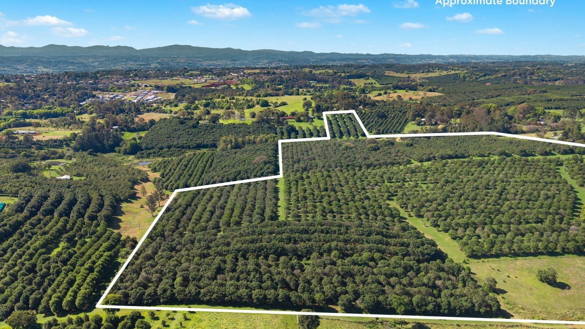 For Sale - 45 Connor Road - New Property in Tregeagle - Real Estate by Adam & Maxine Gaiter