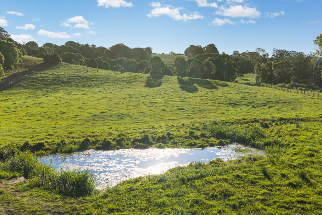 For Sale - 185 Goremans Road - New Property in Eureka - Real Estate by Ollie Charkos
