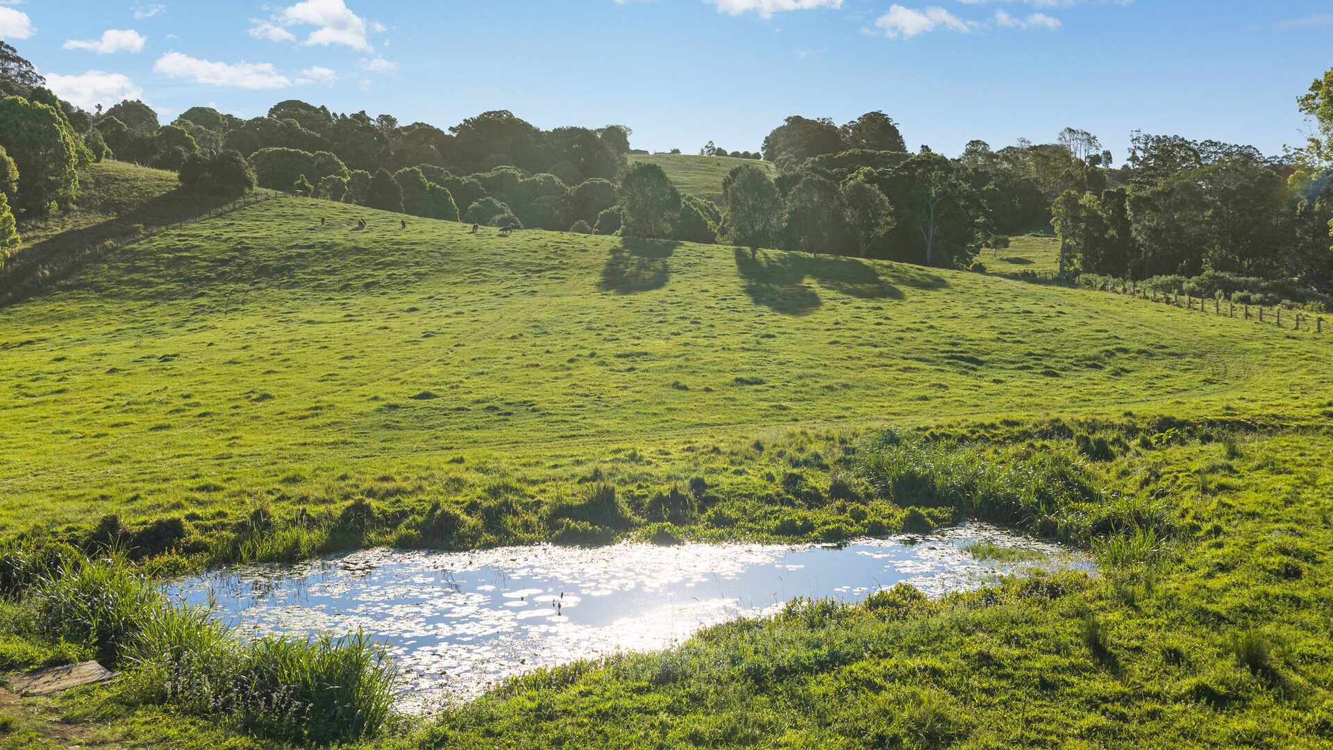 For Sale - 185 Goremans Road - New Property in Eureka - Real Estate by Ollie Charkos