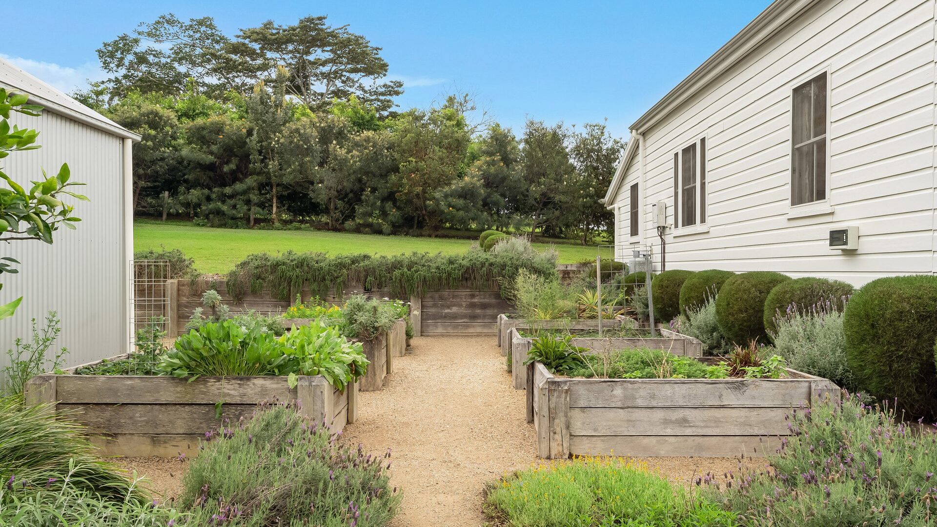 For Sale - 1159 Friday Hut Road - New Property in Binna Burra - Real Estate by Nick Dunn