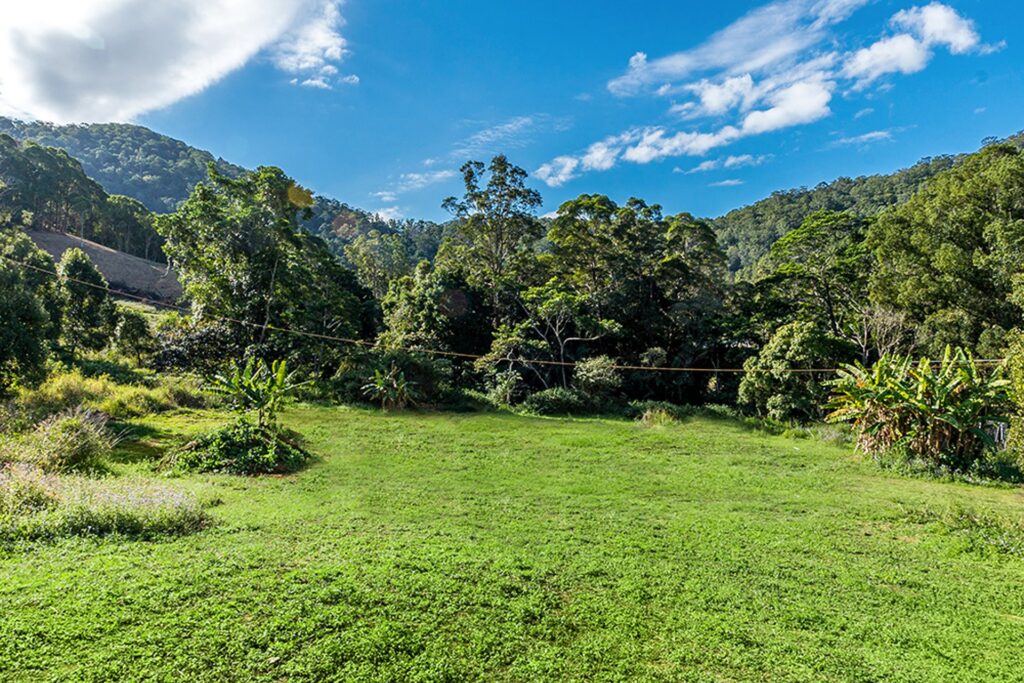 For Sale - 209 Howards Road - New Property in Burringbar - Real Estate by Ollie Charkos