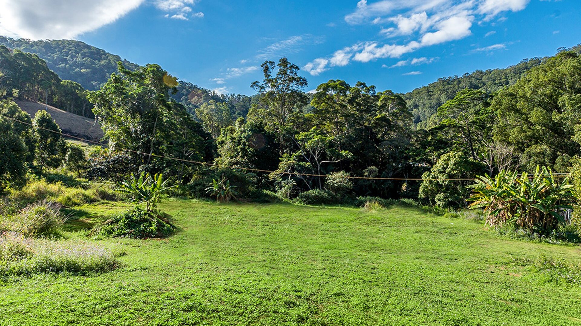 For Sale - 209 Howards Road - New Property in Burringbar - Real Estate by Ollie Charkos